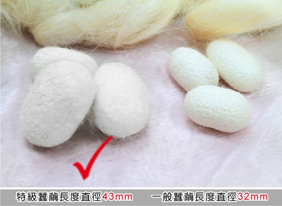 醫美專科育乳罩杯 瞬間集中! 三段托提無鋼圈前扣長纖蠶絲調整型內衣