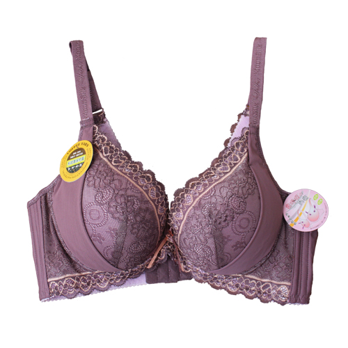 古典美背咖啡紗調整型內衣