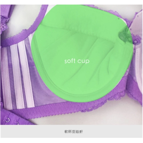 美胸深V溝集中、美背高機能矯正內衣。C.D.E罩