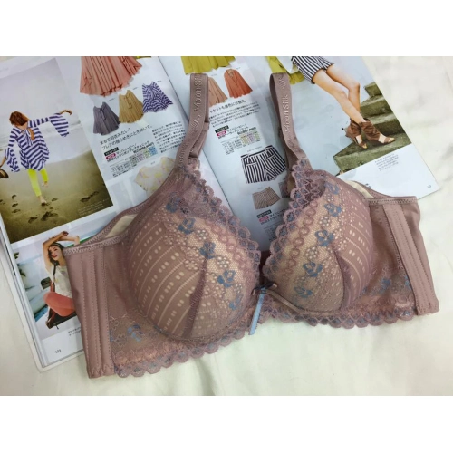 搖滾閃爍蕾絲胸罩. 唯美聚焦. 浪漫提托. A/B/C/D-軟鋼圈