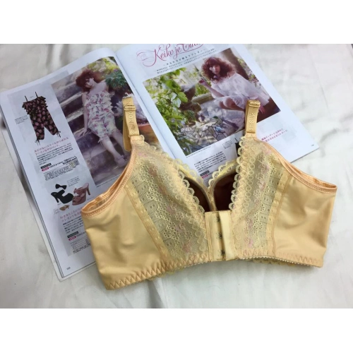 搖滾閃爍蕾絲胸罩. 唯美聚焦. 浪漫提托. A/B/C/D-軟鋼圈