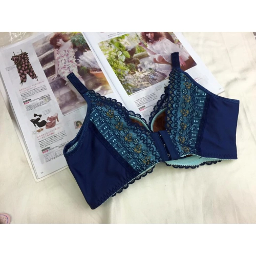 搖滾閃爍蕾絲胸罩. 唯美聚焦. 浪漫提托. A/B/C/D-軟鋼圈