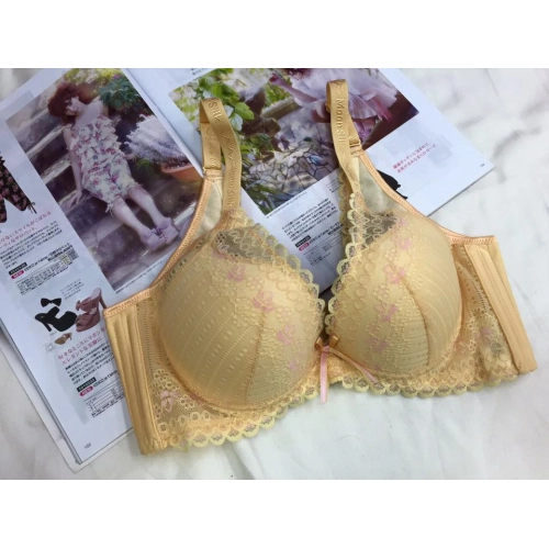 搖滾閃爍蕾絲胸罩. 唯美聚焦. 浪漫提托. A/B/C/D-軟鋼圈