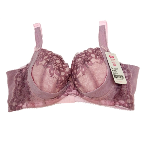 Summer Night Dream Sexy Lace Concentrated Adjustment Underwear (B.C.D.E.F.G Cup)