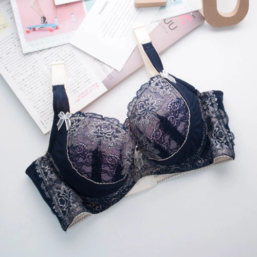 Summer Night Dream Sexy Lace Concentrated Adjustment Underwear (B.C.D.E.F.G Cup)
