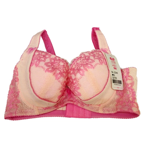 Summer Night Dream Sexy Lace Concentrated Adjustment Underwear (B.C.D.E.F.G Cup)