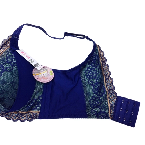 古典美背咖啡紗調整型內衣