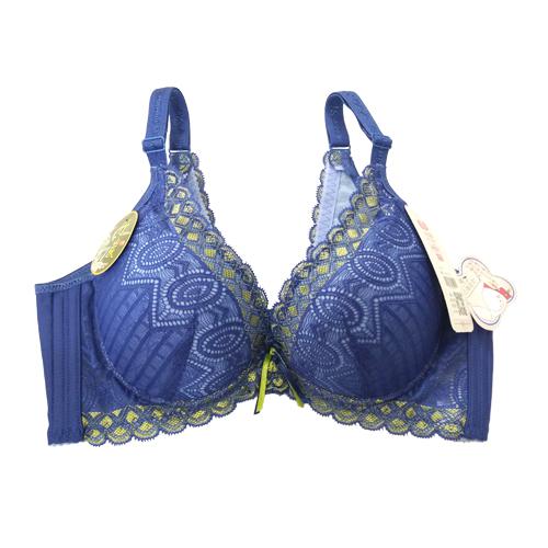 Purple Butterfly deep V underwear. A. B. C. D. coverings