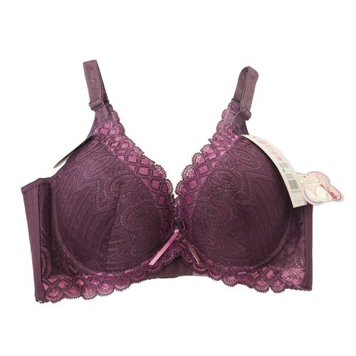 Purple Butterfly deep V underwear. A. B. C. D. coverings