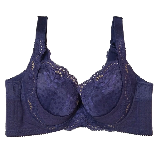 美胸深V溝集中、美背高機能矯正內衣。C.D.E罩