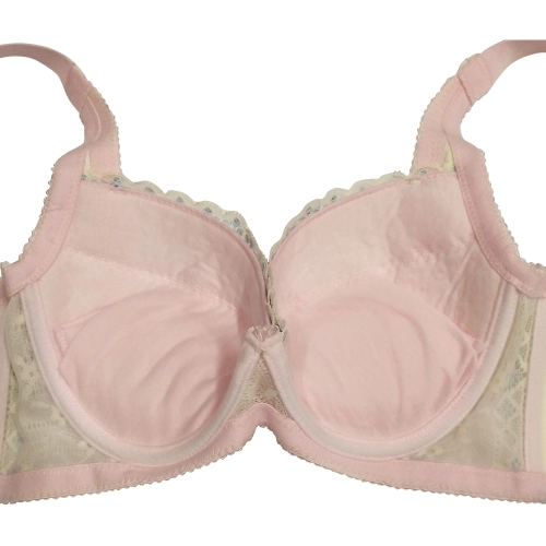 Youth Love Melody Functional Underwear - Macaron My Favorite B-G Cup