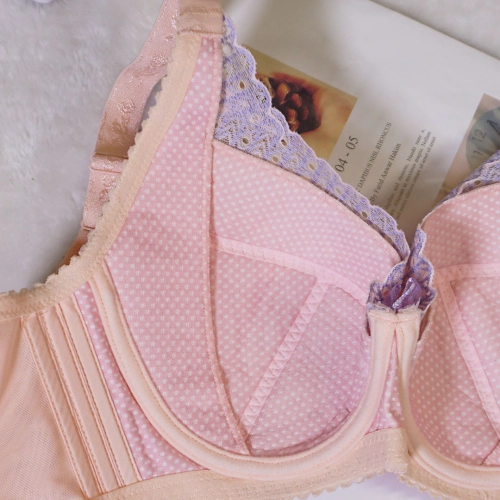 大罩杯的鋼圈高機能調整型內衣