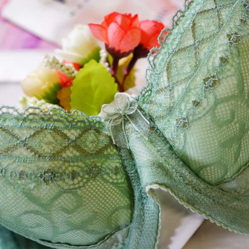 Elegant Deep Smooth Non-Empty Cup Series II - Li Zi Adjustable Underwear  Professional Fat-Building Technique Series