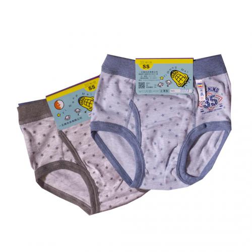 Robot boys' underwear two in group