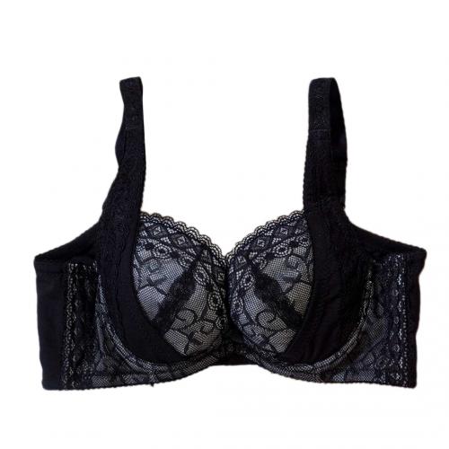 Elegant Deep Smooth Non-Empty Cup Series II - Li Zi Adjustable Underwear  Professional Fat-Building Technique Series