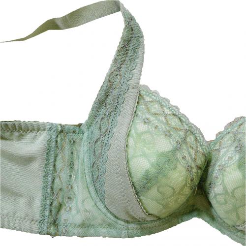 Elegant Deep Smooth Non-Empty Cup Series II - Li Zi Adjustable Underwear  Professional Fat-Building Technique Series