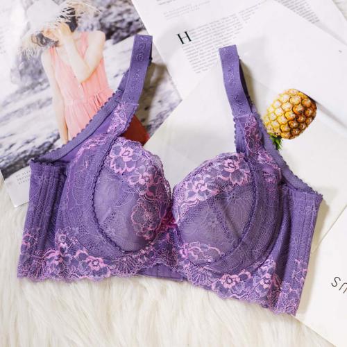 9610 Purple - Lycra Adjustable Bra