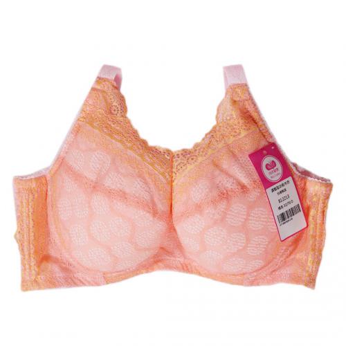 【C-G Extra Large Size】Bubble Memory Steel-Ringed Laced Lace Underwear - Purple, Orange, Blue, Green