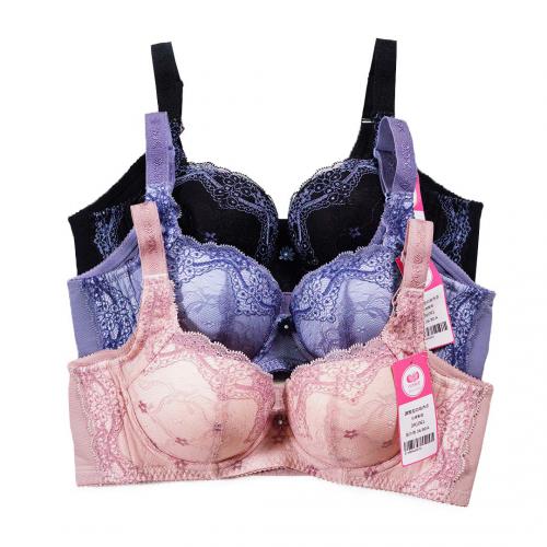 Flower Language Series, Lace High Functionality Underwear - Three-Dimensional Cups (Thick Cups) A-C CUP  Professional Fat-Burning Series