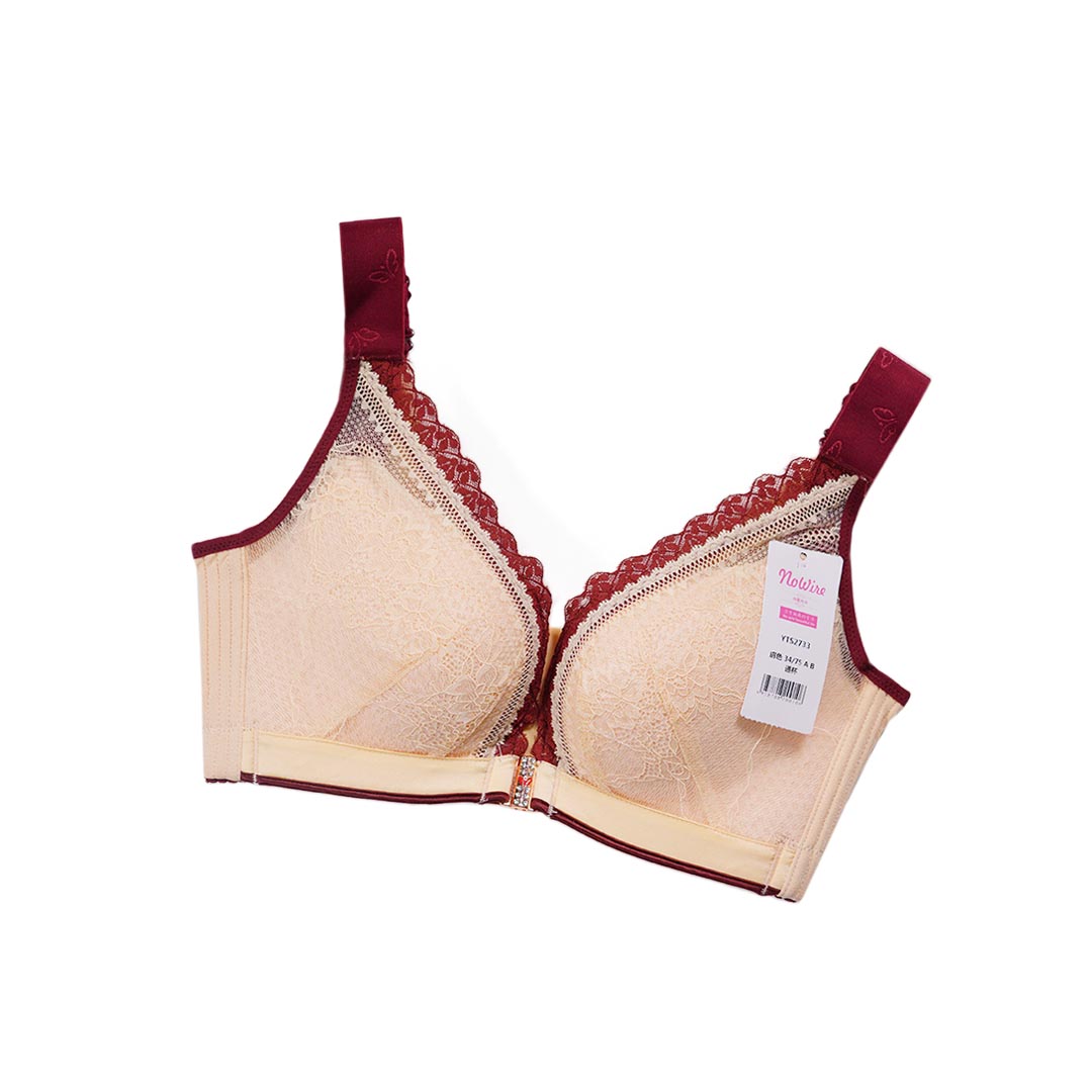 性感前扣蕾絲無鋼圈聚攏收副乳大胸顯小調整型內衣