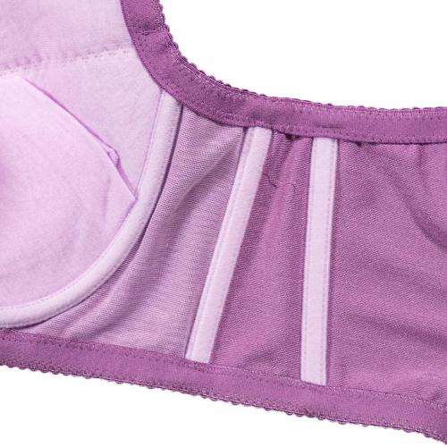 French Sweetheart Large-Cup Adjustable Underwear - The Gospel of Large Cups  Professional Lipid Maintenance Series