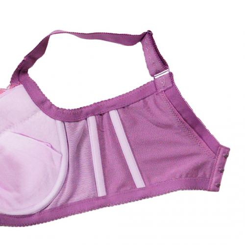 French Sweetheart Large-Cup Adjustable Underwear - The Gospel of Large Cups  Professional Lipid Maintenance Series