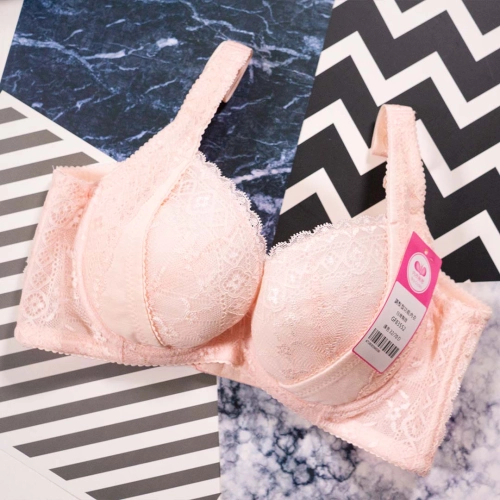 Youth Love Melody Functional Underwear - Macaron My Favorite B-G Cup