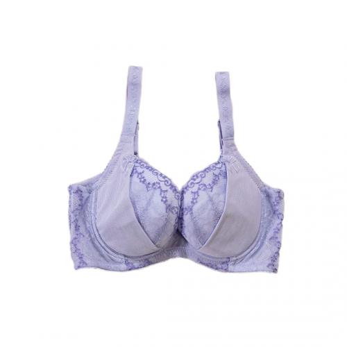 Silky Lace Petite Sexy Concentrated Adjustment Underwear - Professional Fat-Gain Technique Series