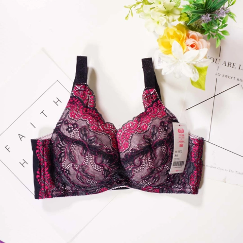 貴麗雅集高挺調整型內衣－C、D、E、F、G、H 杯