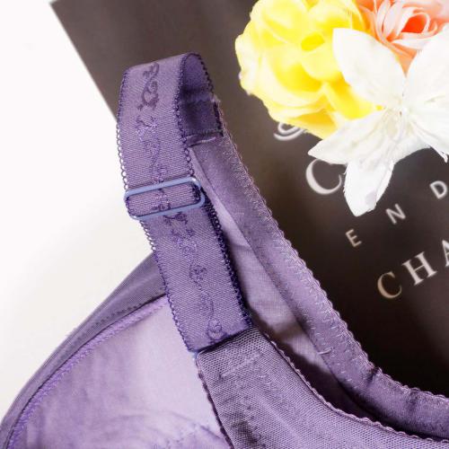 Specialized underwear sets for the spring season: E, F, G, H bras