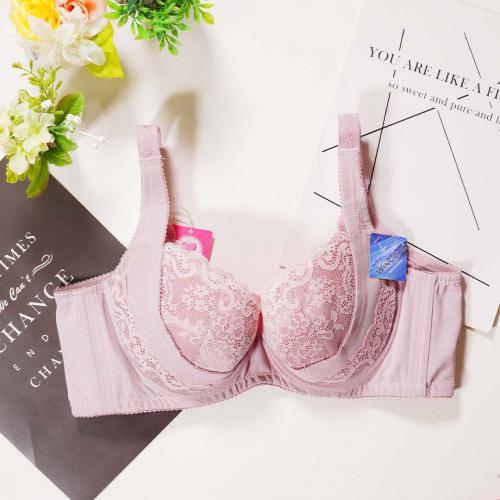 High-end upgraded new line of underwear: B, C, D, E, F professional fat-building series