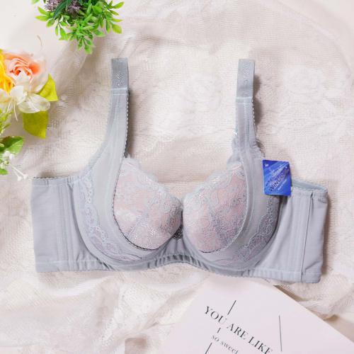 High-end upgraded new line of underwear: B, C, D, E, F professional fat-building series