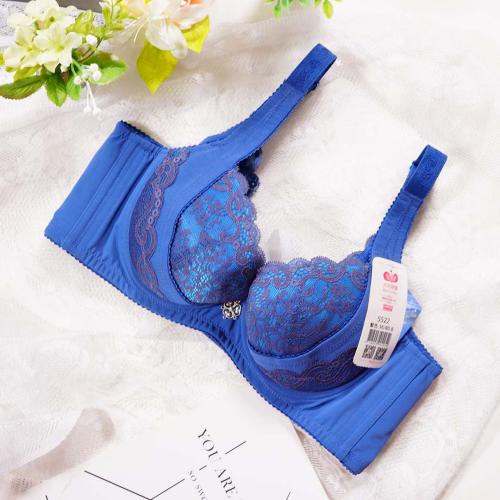 High-end upgraded new line of underwear: B, C, D, E, F professional fat-building series