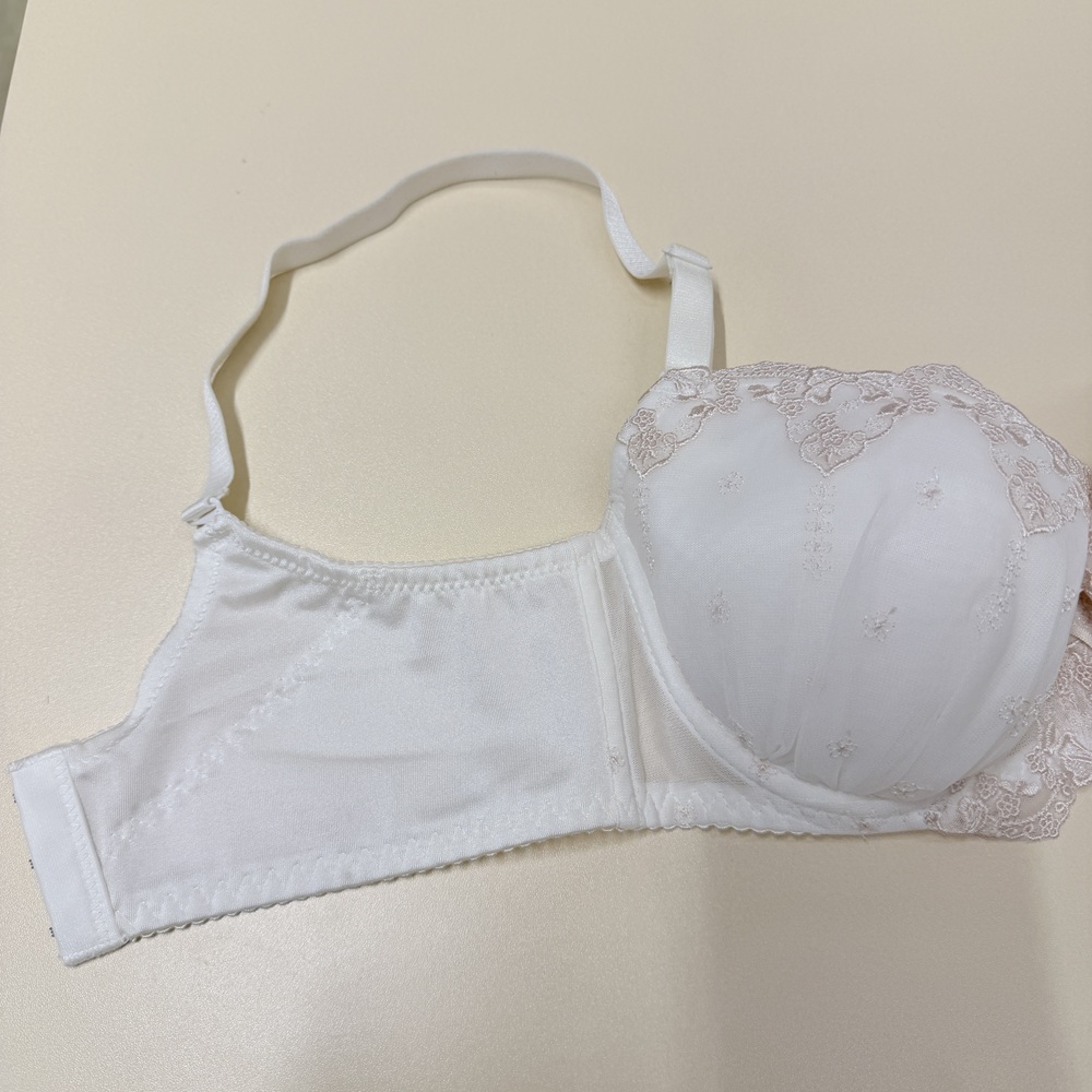 日本少女心甜美刺繡雪紡大罩內衣