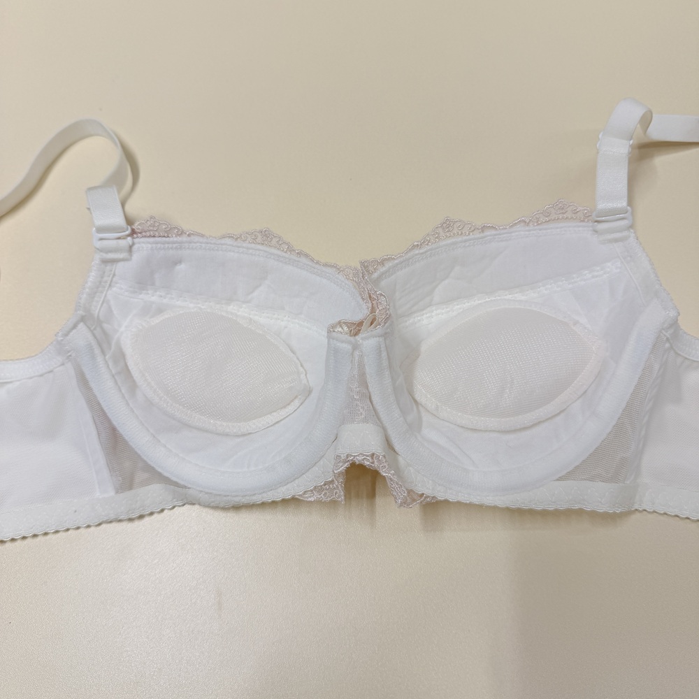 日本少女心甜美刺繡雪紡大罩內衣