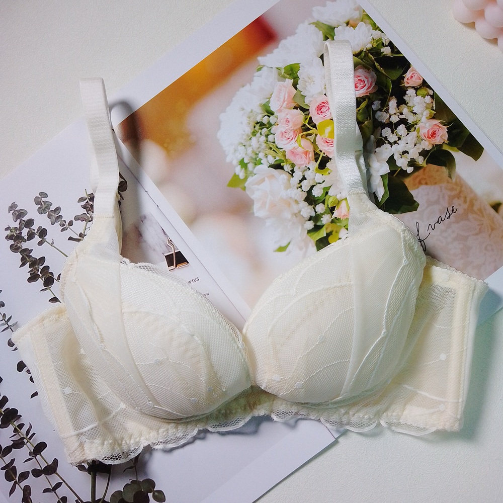 PUSH UP集中調整型內衣