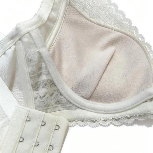 Solid-color, simplified and traditional design soft steel ring adjustable underwear